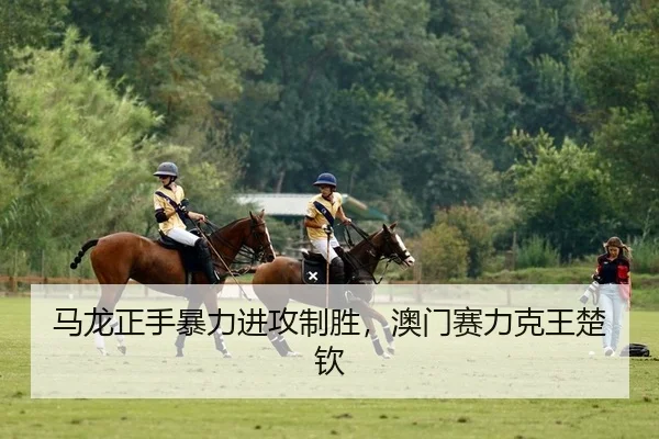 马龙正手暴力进攻制胜，澳门赛力克王楚钦